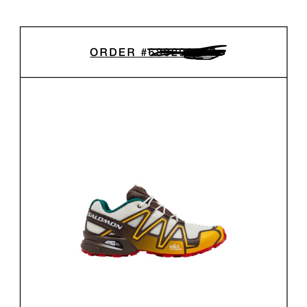 Salomon Yellow and Brown Trail Shoes